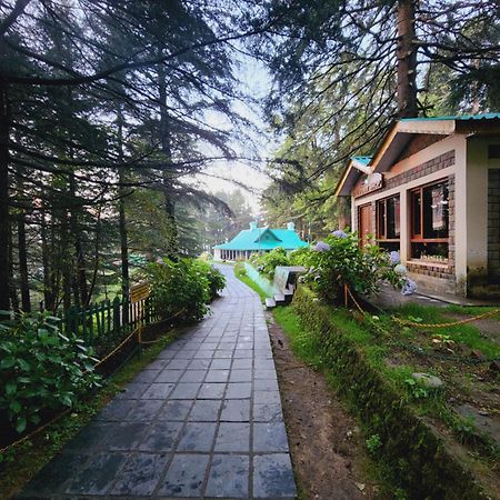 Forest Vibes Kalatop-Rooms And Restaurant ダルハウジ エクステリア 写真