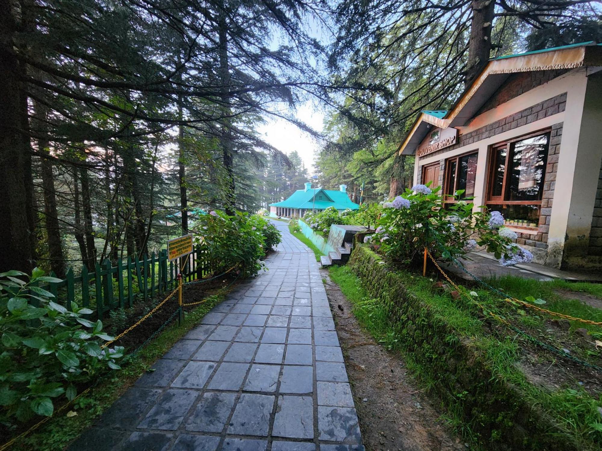 Forest Vibes Kalatop-Rooms And Restaurant ダルハウジ エクステリア 写真