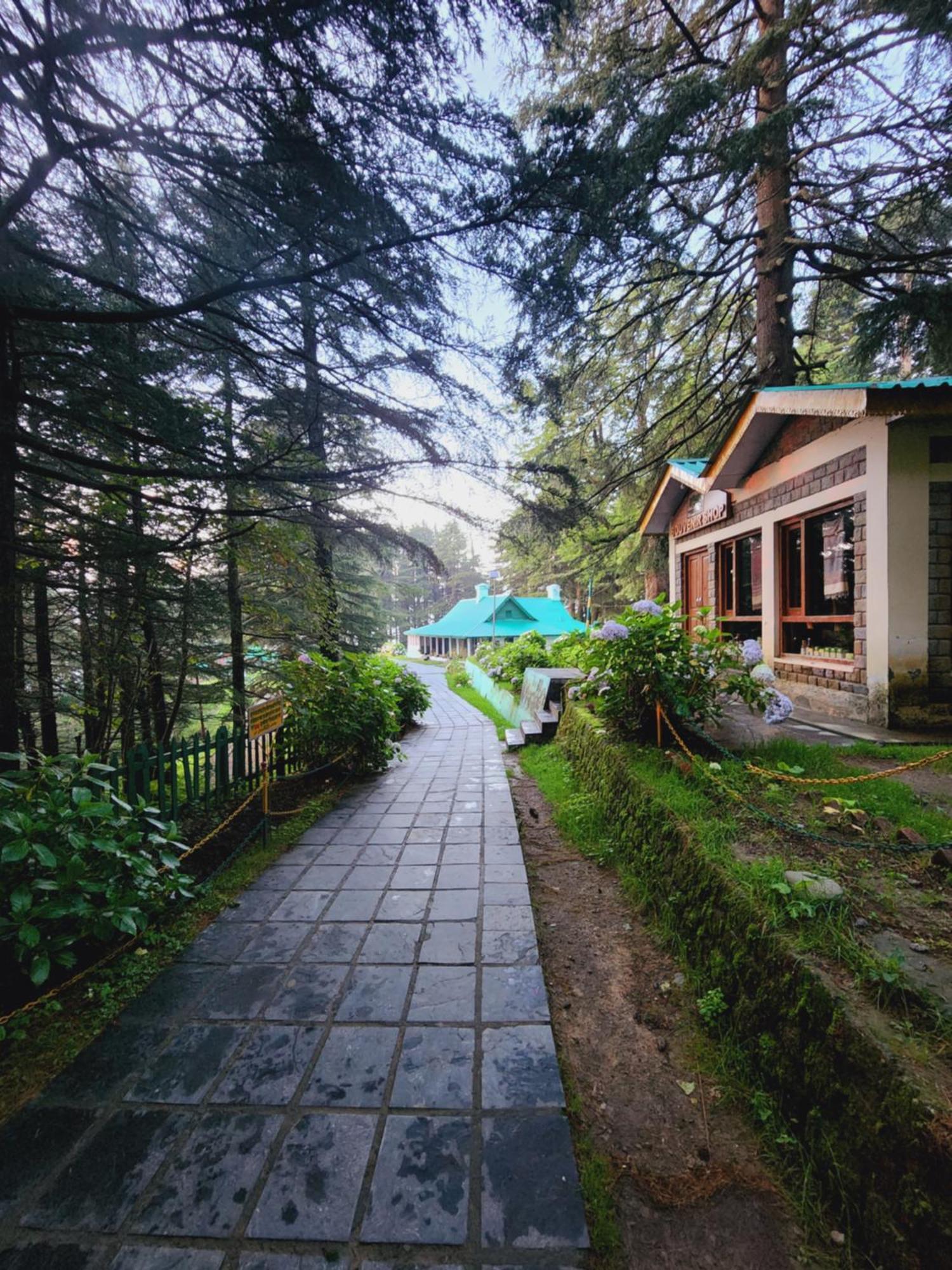 Forest Vibes Kalatop-Rooms And Restaurant ダルハウジ エクステリア 写真